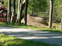 2010 wood cutting 002.jpg