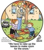 Leaves.jpg
