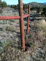 fence4.jpg