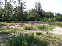 pond 023.jpg