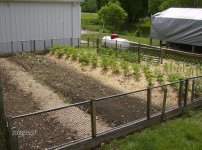 Flower Gardens 2008 088a.jpg