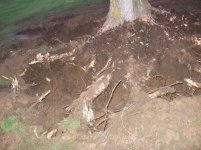 close view partly dug.jpg