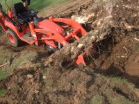 bucket stuck under root.jpg