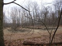 Sawmill Shed 1 Small.JPG