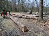 Sawmill Shed 2 Small.JPG