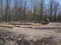 Sawmill Shed 3 Small.JPG