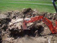cracking stump.jpg