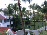 IMG_4258.jpeg