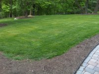 IMG00135-20100507-1806.jpg
