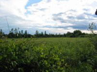IMG_0029.jpg