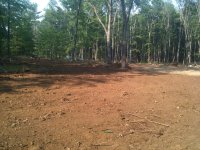 land Reclaim 2.jpg