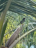 IMG_0741.jpeg