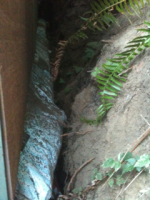 image-3380327388.png