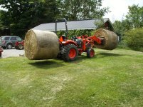hay.jpg
