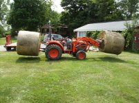 hay1.jpg
