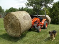 hay2.jpg