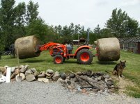 hay3.jpg