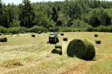 Haying 1.jpg