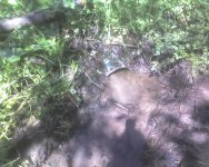 May09_0009.jpg