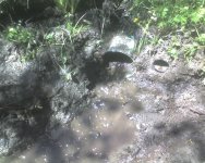 May09_0010.jpg