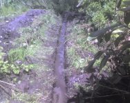 May09_0011.jpg