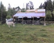 Barn 058.jpg