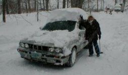 35-86829-winter2.jpg