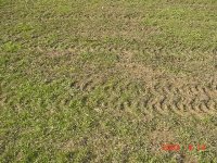255249-turf trouble.jpg