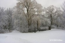 35-89403-ResizeofP0001407.JPG
