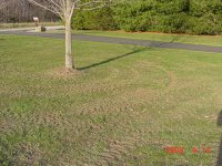 255262-turf trouble 3.jpg