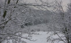 35-89608-FirstSnowDec2001_6a.jpg