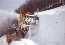 347128-Case W36 with mounted snowblower 2.jpg