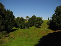 IMG_0459.jpg