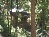 IMG_0356.JPG