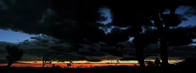 Sunrise-2A.jpg
