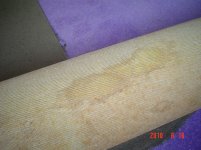 Shar680 066.jpg