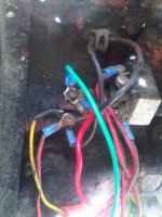 IMG00065-20100919-1421.jpg
