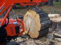 Sugar Maple 001.jpg