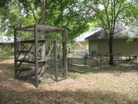 Cat Cage 1a.jpg