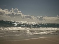 IMG_0828.jpeg