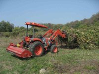 IMG_5611smallfile.jpg