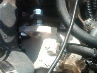 IMG00556-20101130-0859.jpg
