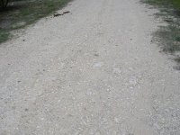 road 001.jpg