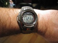 IMG_5155.jpg