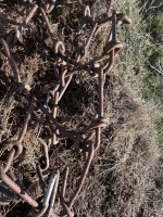 IMG_3349.jpeg