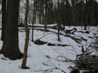 Fmsplittingareatotree.JPG