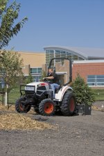 Bobcat.jpg