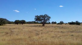 2010-10-08_13-31-47_208.jpg