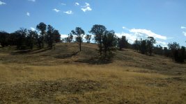 2010-11-11_10-56-24_808.jpg