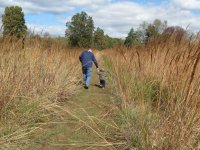 grass2.jpg